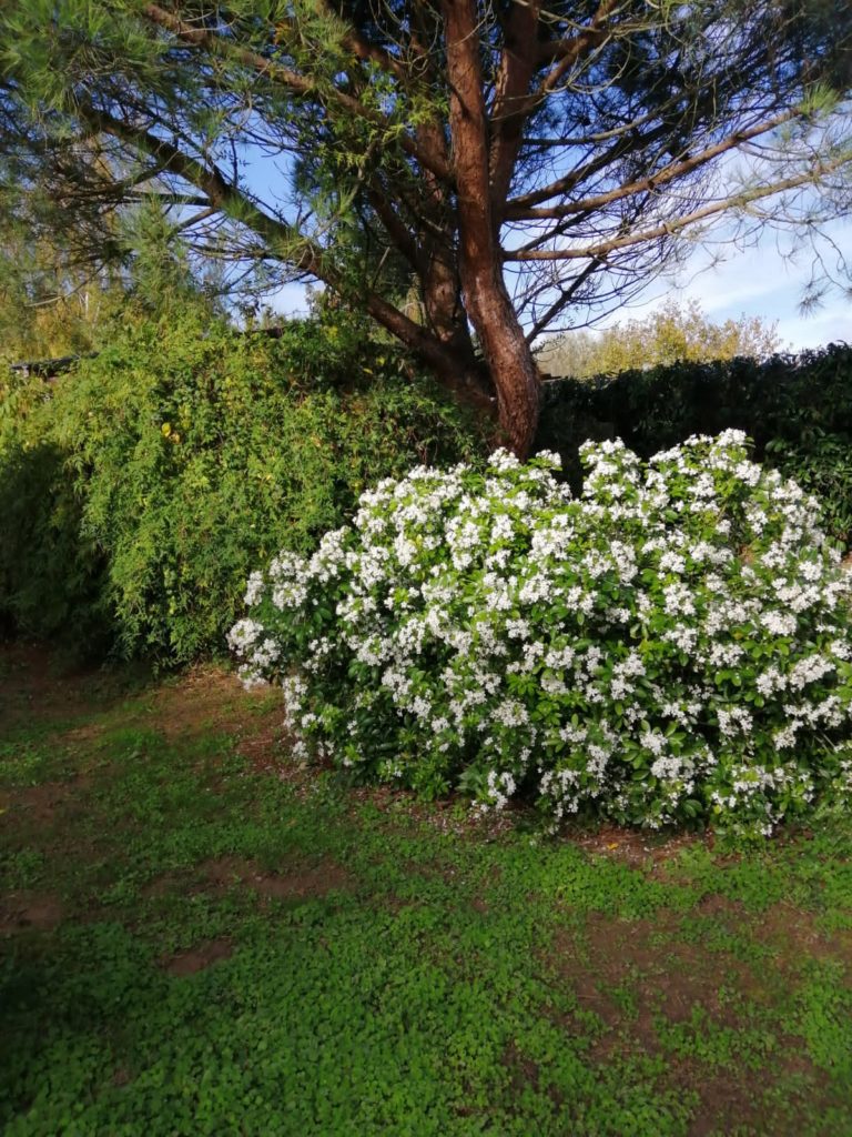 JARDINAGE